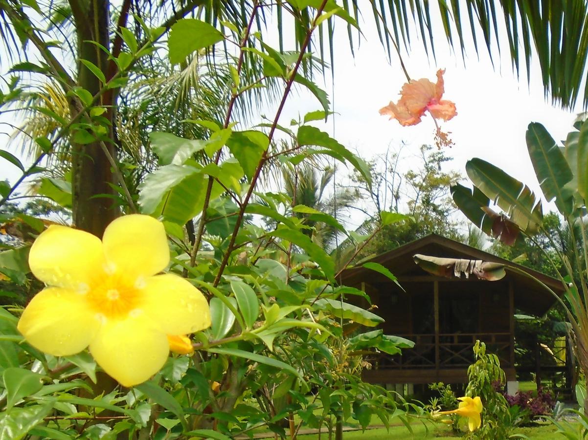 J And H Garden Cabinas Bocas del Toro Esterno foto